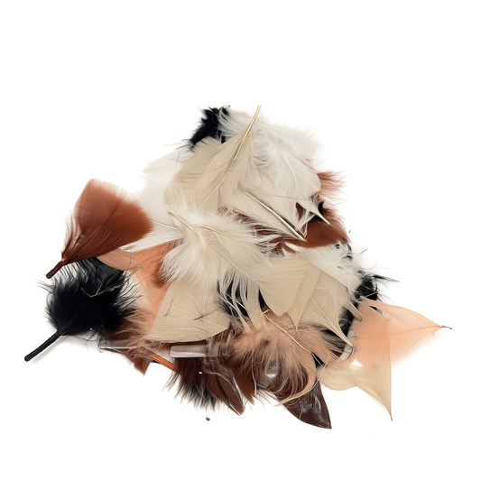 Feathers, Natural, Mixed Sizes.