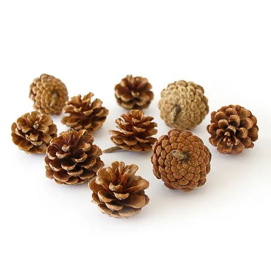 Pine Cones, Natural, Length 40mm, 400g.
